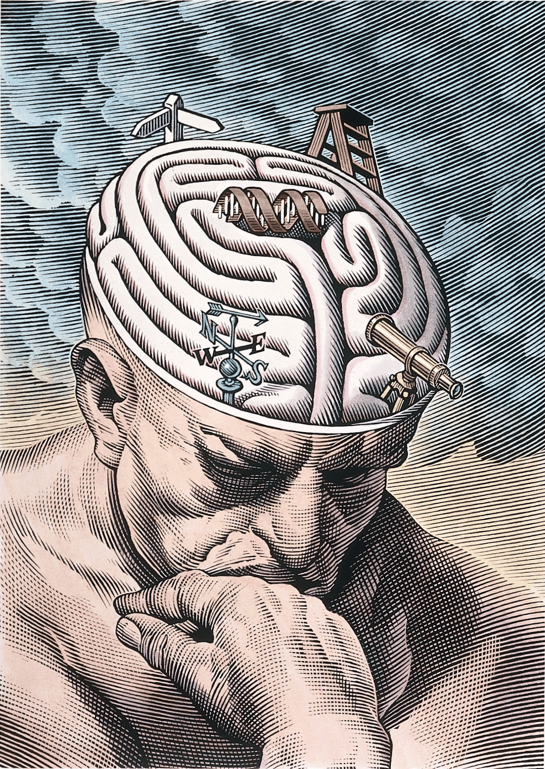 Brain drawing